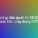 Hướng dẫn quản trị MySQL user trên ứng dụng iVPS