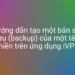 Dễ dàng tạo một bản sao lưu website với iVPS